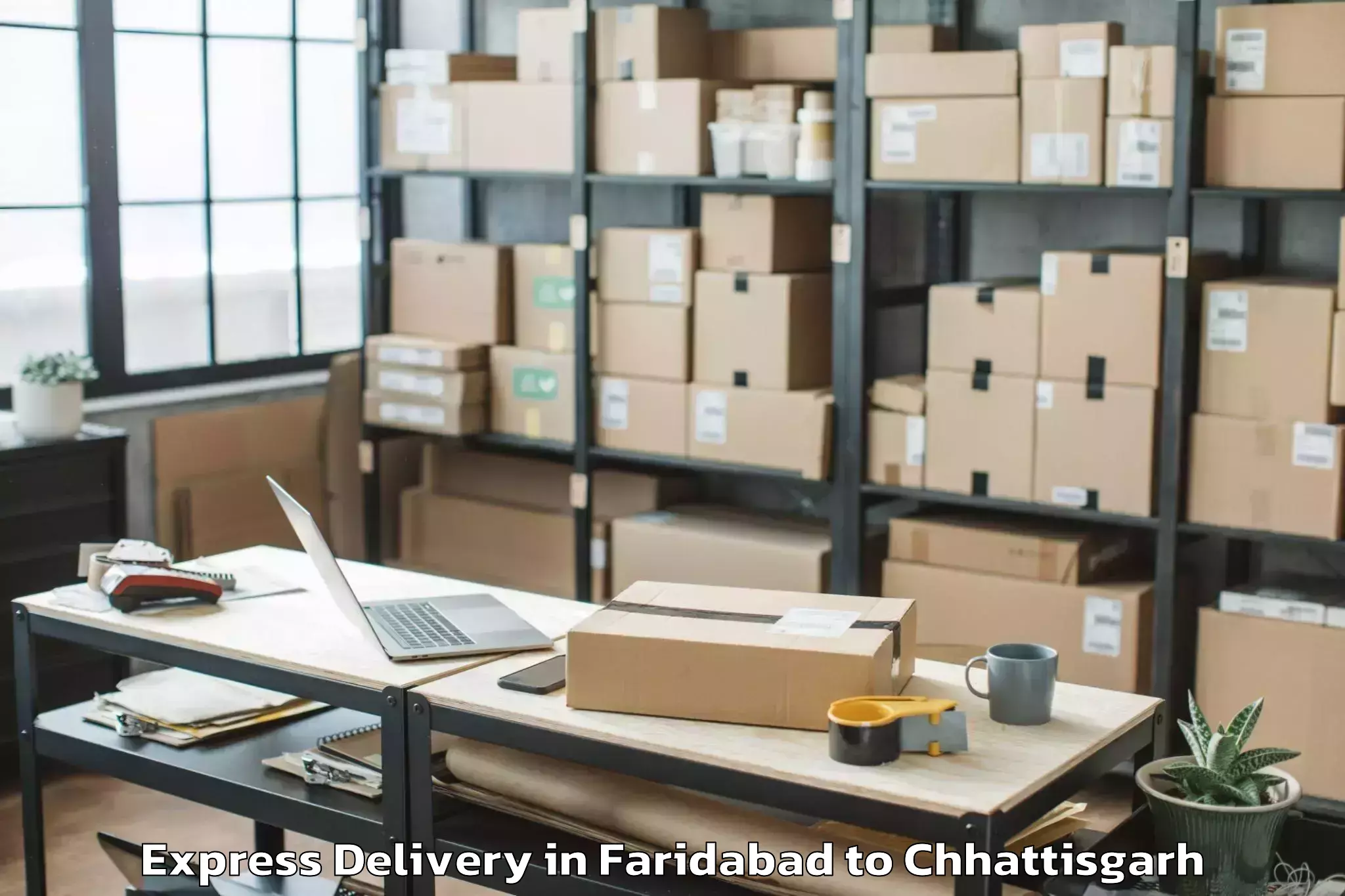 Quality Faridabad to Gharghoda Express Delivery